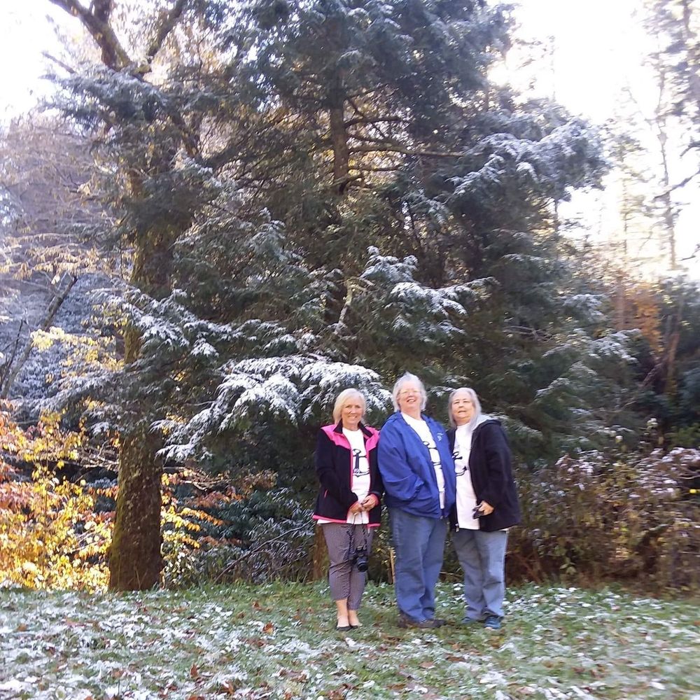 Meet your Posher, Carolyn